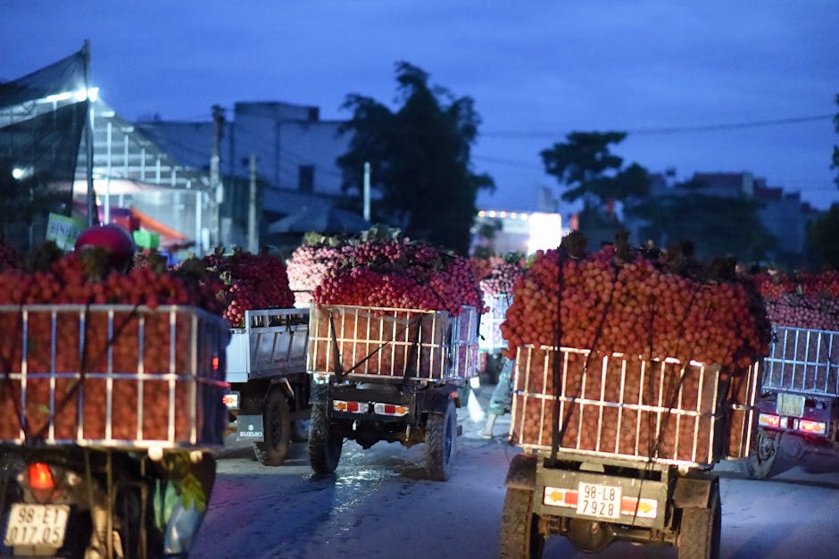 智云科技发布新一代AIoT平台“星链”，携手行业伙伴共拓智慧生态新边界
