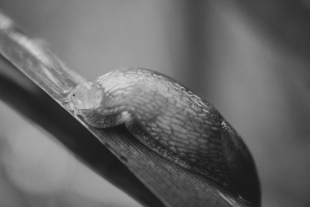 精细化感官服务市场：从“功能满足”到“情绪疗愈”的价值跃迁与商业模式重构