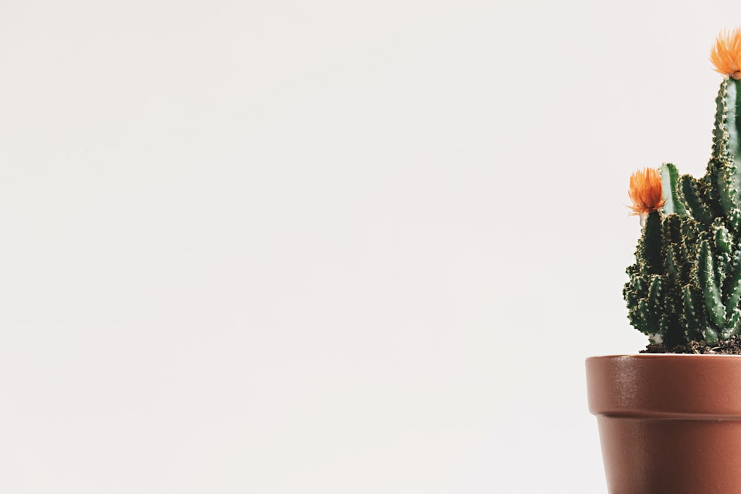 技术赋能下的感官微养护：解析耳足护理行业从“手工技艺”到“数据驱动”的范式转移