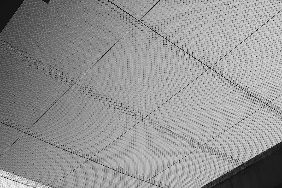 2026透视：解码企业动态背后的战略棋局与价值密码