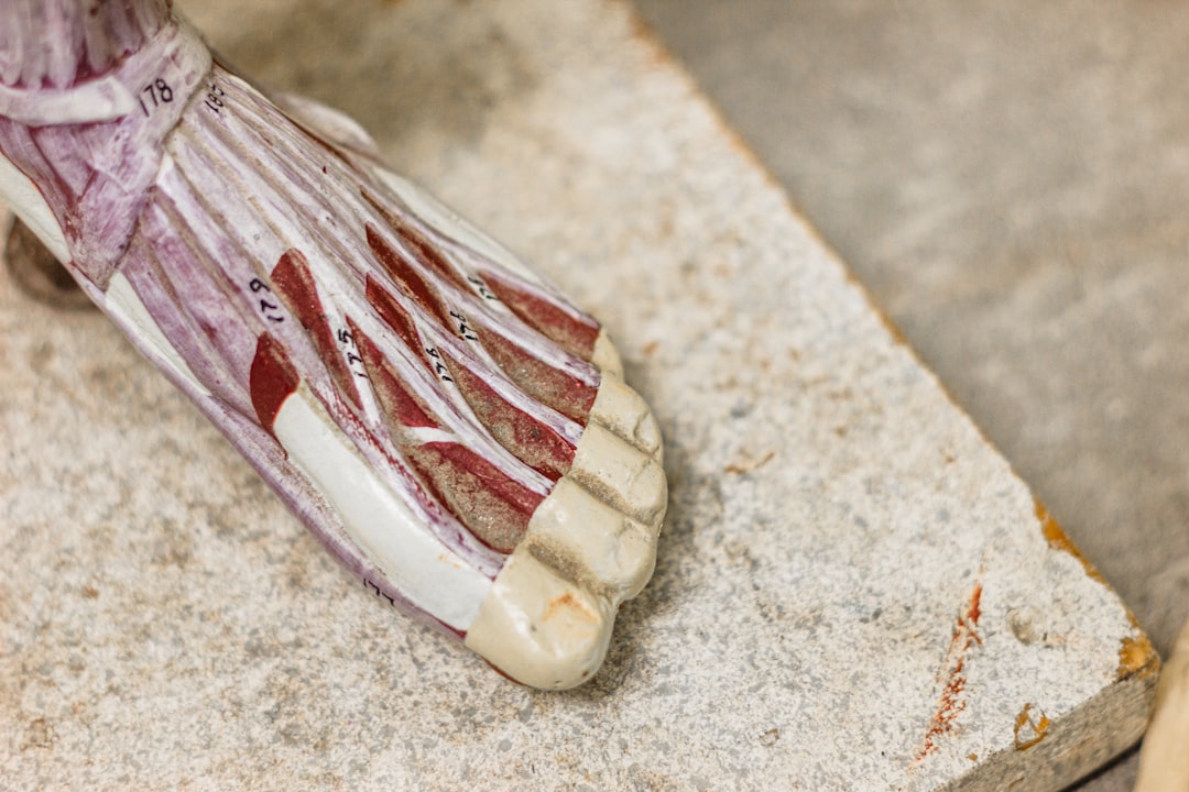 感官疗愈新纪元：2026年健康休闲业态的用户体验深度重构