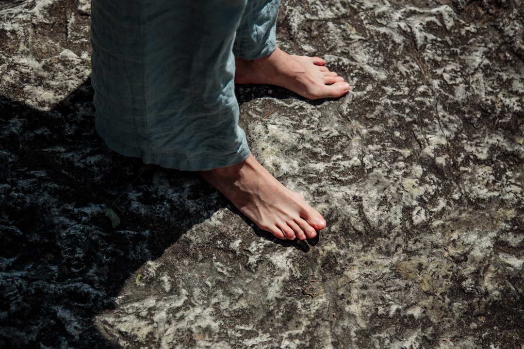 2026行业观察：从单点工具到生态融合——健康养生服务业数字化解决方案的演进与实践