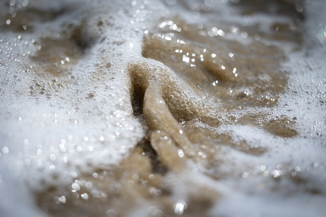 2026洗浴足浴行业观察：从“手艺活”到“智慧流”的范式转移