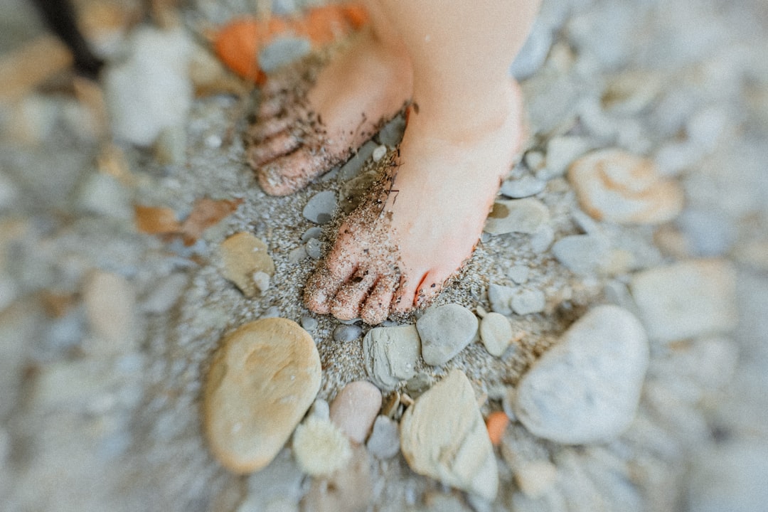 2026透视：解码养生服务业数字化解决方案的融合与重构