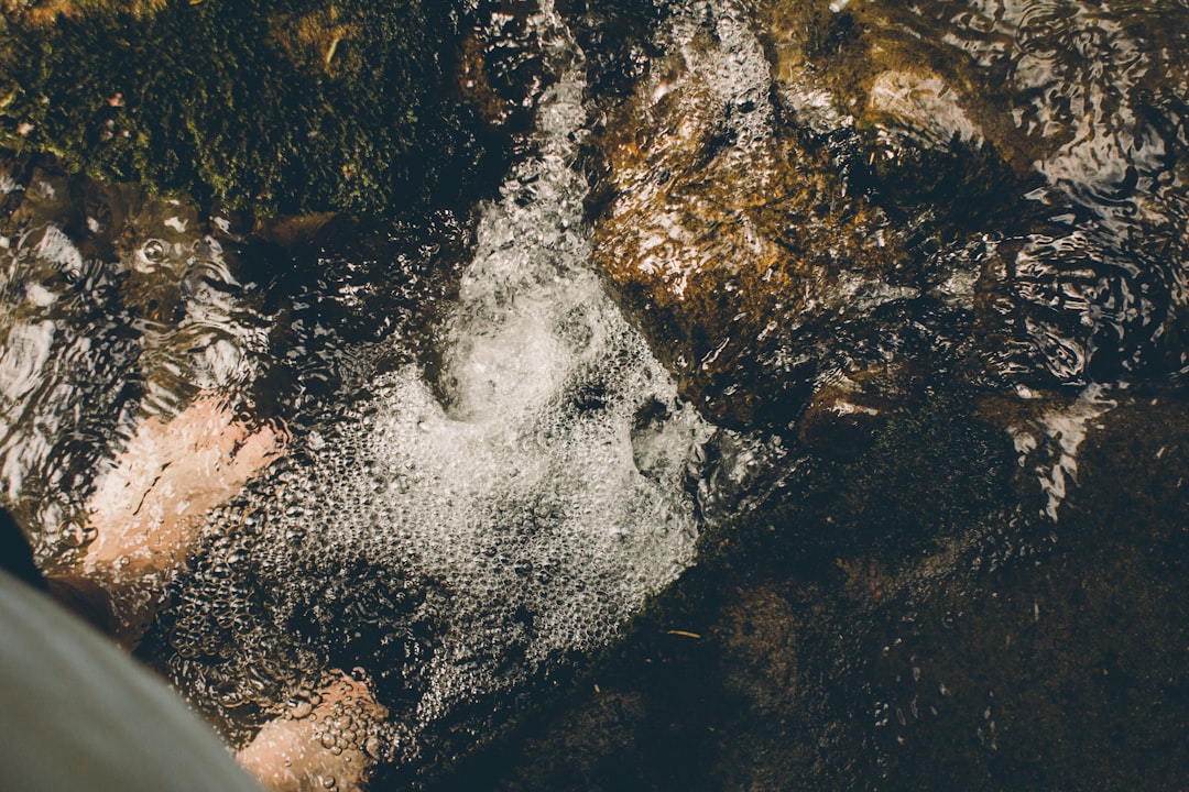 2026足浴行业智变：从指尖到云端的深度重构与生态跃迁