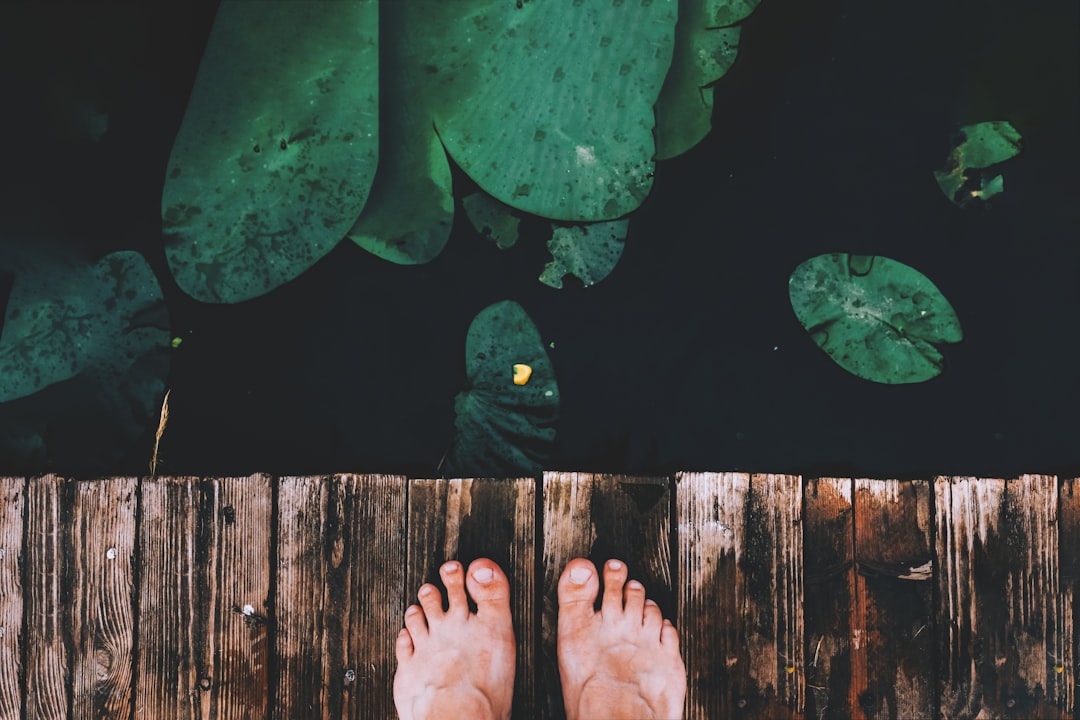 2026智慧康养新纪元：从足疗到采耳，一体化数字解决方案如何重塑养生服务业