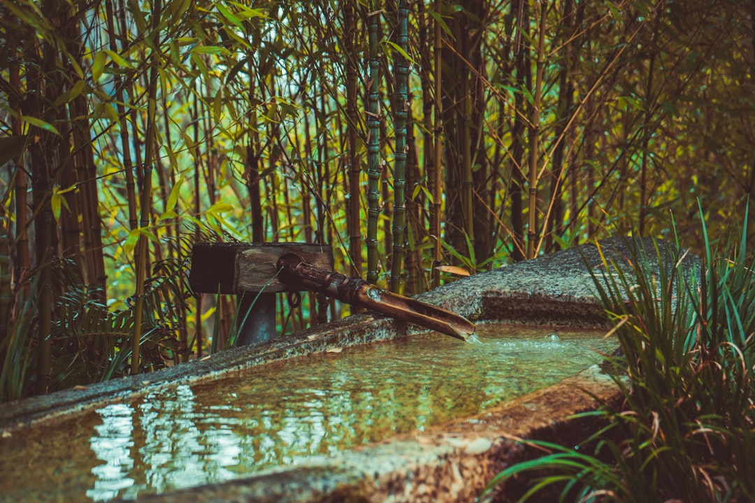 从“经验驱动”到“数据智驱”：2026年洗浴足疗行业的智能化跃迁与场景重构