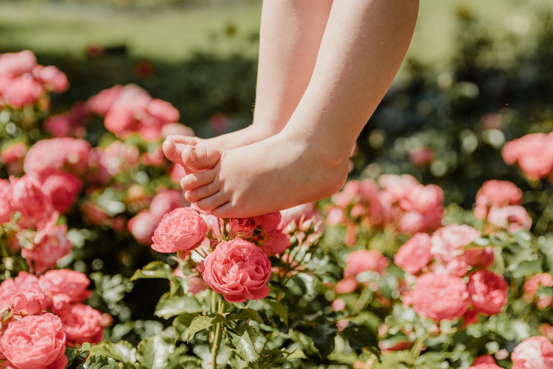 从工具到生态：2026年足疗采耳门店数字化解决方案的实践重构